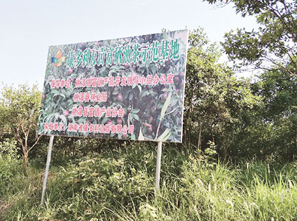 英国·威廉希尔(williamhill)唯一中文官方网站