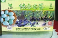 威廉希尔williamhill,油茶莳植生产加工销售,植物油莳植生产加工销售