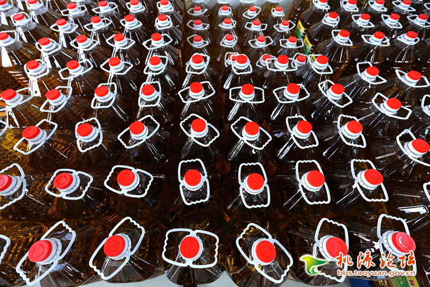 威廉希尔williamhill,油茶莳植生产加工销售,植物油莳植生产加工销售