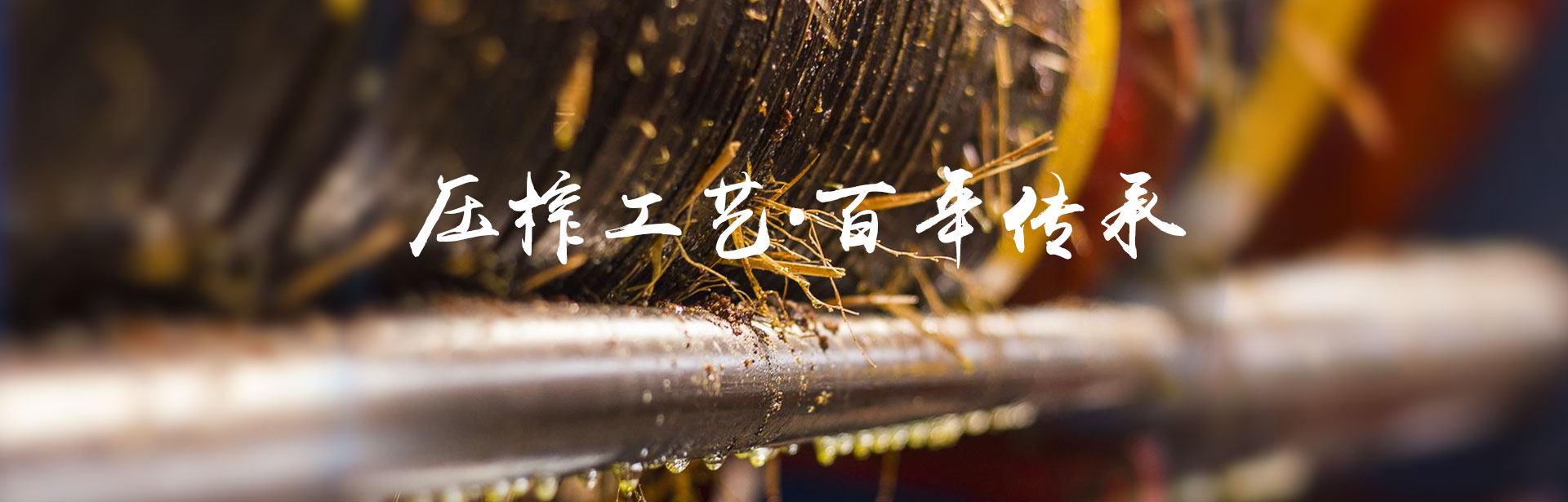 威廉希尔williamhill_油茶莳植生产加工销售|植物油莳植生产加工销售