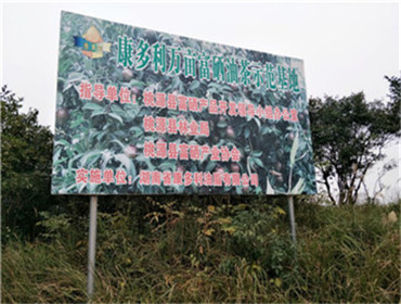 威廉希尔williamhill,油茶莳植生产加工销售,植物油莳植生产加工销售