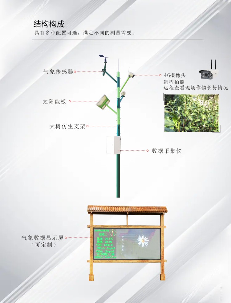 九游会·J9 (中国)官方网站 | 真人游戏第一品牌